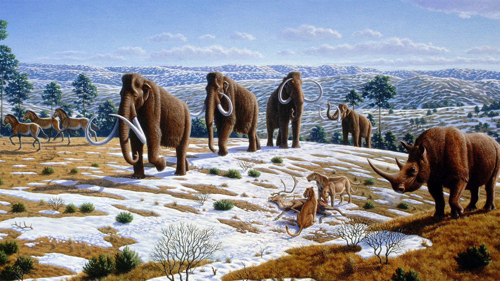 Pleistozäne Fauna in Nordspanien. Illustration: Mauricio Antón