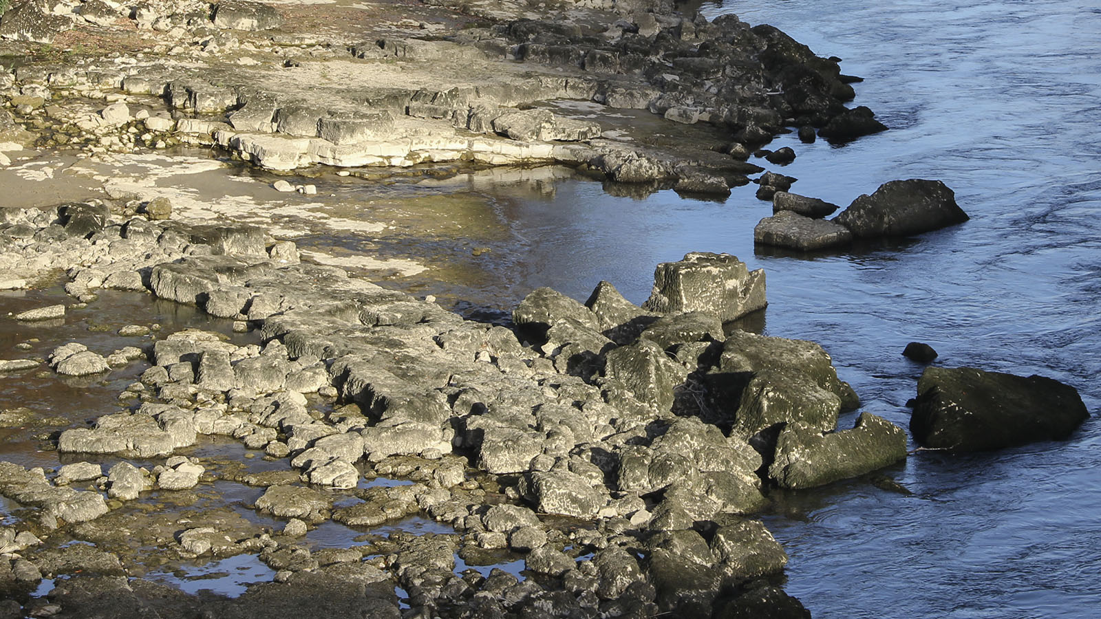 Die Felsterrassen in Flussnähe bestehen vorwiegend aus mikritischem Kalk der Wettinger Schichten